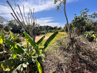 Lote/Terreno com 1 Quarto à venda, 4000m² no Cidade Nova, Manaus
