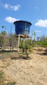 Fazenda/Sítio com 3 Quartos à venda, 170000m² no , Padre Bernardo