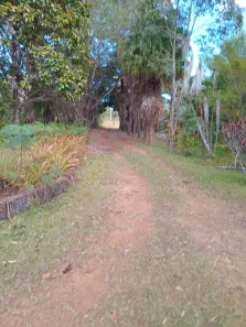 Fazenda/Sítio com 3 Quartos à venda, 210000m² no , Brasília