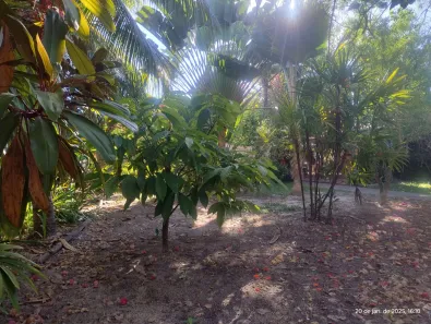 Casa de Condomínio com 3 Quartos à venda, 250m² no , Vera Cruz