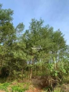 Lote/Terreno à venda, 31235m² no Centro, Presidente Lucena