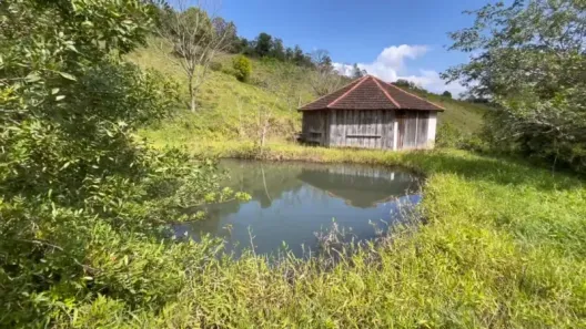 Fazenda/Sítio com 1 Quarto à venda, 50m² no , Caraá