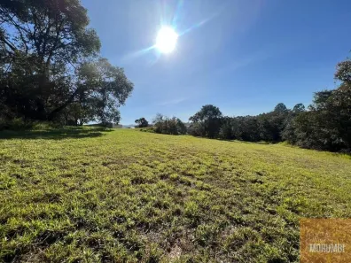 Lote/Terreno à venda, 1236m² no , Pardinho