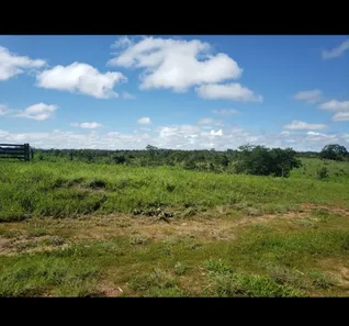Fazenda/Sítio à venda no , Padre Bernardo