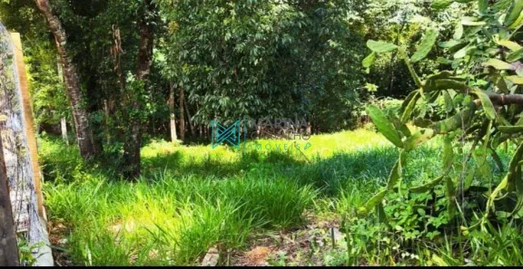 Lote/Terreno à venda, 1000m² no Anel, Lagoa Santa