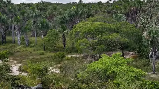 Lote/Terreno à venda, 1010000m² no , Santo Amaro do Maranhão