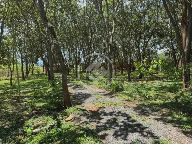 Lote/Terreno à venda, 12187m² no Residencial Santa Efigênia, Goiânia