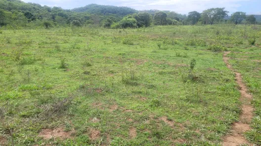 Fazenda/Sítio à venda, 5808000m² no , Padre Bernardo