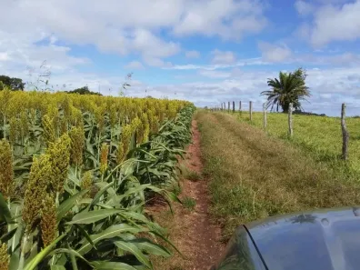 Fazenda/Sítio à venda, 5008300m² no Centro, Leopoldo de Bulhões