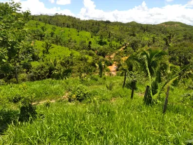 Fazenda/Sítio com 3 Quartos à venda, 3000000m² no , Padre Bernardo