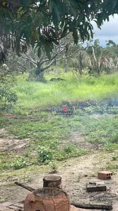 Fazenda/Sítio com 1 Quarto à venda, 2260000m² no , Itapecuru Mirim