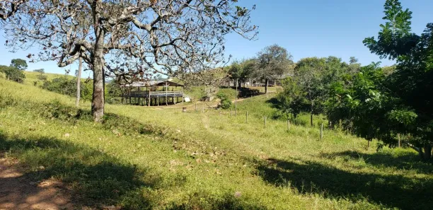 Fazenda/Sítio com 4 Quartos à venda, 550000m² no Padre Bernardo, Padre Bernardo