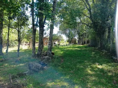 Fazenda/Sítio à venda, 170m² no Morro da Laje, Caraá