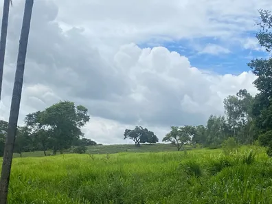 Fazenda/Sítio com 5 Quartos à venda, 35m² no , Silvânia