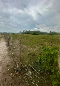 Lote/Terreno à venda, 4460m² no , Santo Amaro do Maranhão