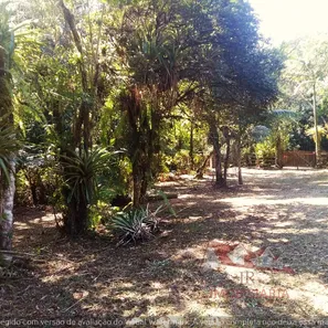 Fazenda/Sítio com 1 Quarto à venda, 12900m² no , Antonina
