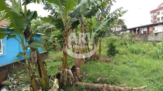 Lote/Terreno à venda, 1625m² no Ponta Porã, Cachoeirinha