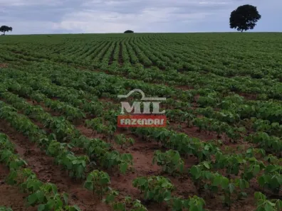 Fazenda/Sítio à venda, 330000m² no , Silvânia