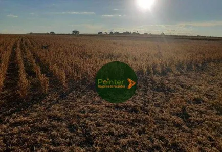 Fazenda/Sítio à venda, 5040000m² no , Buritis