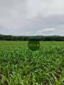 Fazenda/Sítio à venda, 1113200m² no , Jaraguá