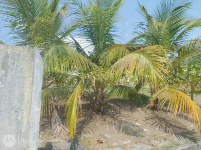 Lote/Terreno à venda, 3568m² no Cachoeirinha, Manaus