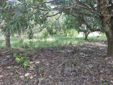 Fazenda/Sítio com 7 Quartos à venda, 40000m² no Núcleo Rural Lago Oeste, Brasília