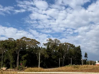 Lote/Terreno à venda, 305m² no Boa Vista, Lindolfo Collor