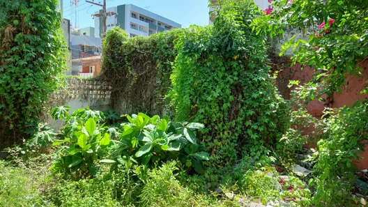 Lote/Terreno à venda, 720m² no Candeias, Jaboatão dos Guararapes