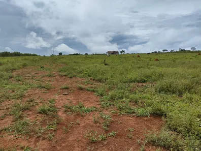 Fazenda/Sítio à venda, 2000m² no , Leopoldo de Bulhões
