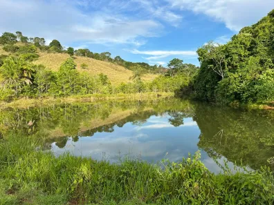Fazenda/Sítio à venda, 7500000m² no Trevo do José Rosário, Leopoldo de Bulhões