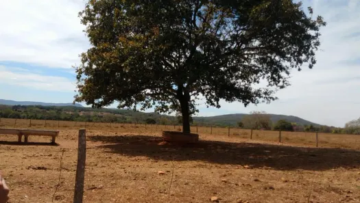 Fazenda/Sítio com 1 Quarto à venda, 400m² no , Jaraguá