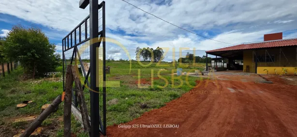Fazenda/Sítio com 1 Quarto à venda, 20000m² no Brazlândia, Brasília