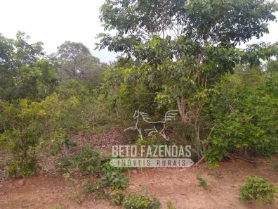 Fazenda/Sítio à venda, 208370000m² no , Urbano Santos