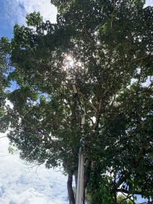 Lote/Terreno à venda, 300m² no Setor Habitacional Jardim Botânico, Brasília