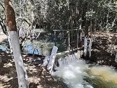 Fazenda/Sítio à venda, 4000m² no , Padre Bernardo