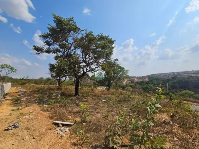 Lote/Terreno à venda, 530m² no Pomar da Lagoa, Lagoa Santa