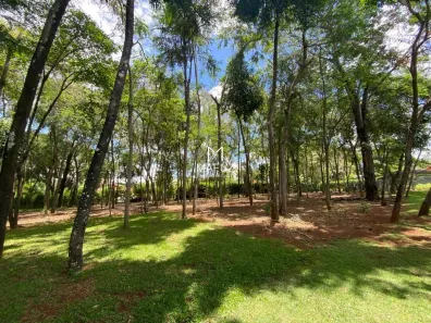Lote/Terreno à venda, 5000m² no Estância das Amendoeiras, Lagoa Santa