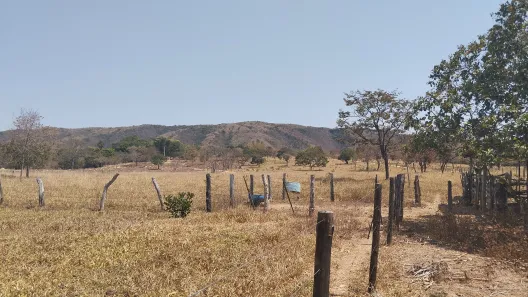 Fazenda/Sítio à venda no , Buritis