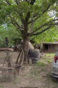 Fazenda/Sítio à venda, 269m² no Planalto, Niquelândia