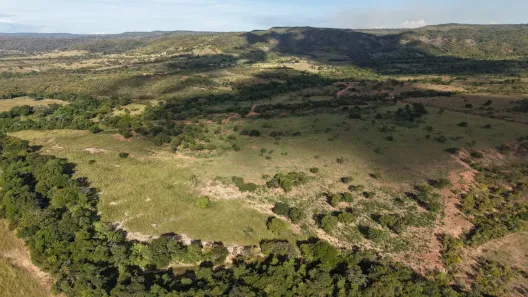 Fazenda/Sítio à venda, 6720000m² no , Buritis