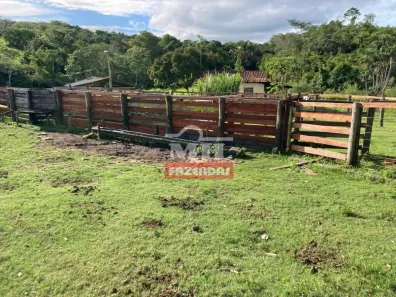 Fazenda/Sítio à venda, 185m² no , Jaraguá
