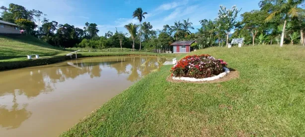 Fazenda/Sítio com 3 Quartos à venda, 18000m² no , Antonina