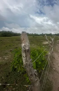 Lote/Terreno à venda, 4460m² no , Santo Amaro do Maranhão