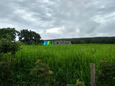 Fazenda/Sítio com 1 Quarto à venda, 620m² no , Morro da Garça