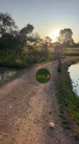 Fazenda/Sítio à venda, 1089000m² no , Jaraguá