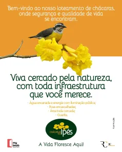 Fazenda/Sítio à venda, 2000m² no Joanápolis, Anápolis