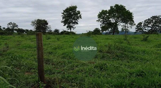 Fazenda/Sítio à venda, 484000m² no , Bonfinópolis