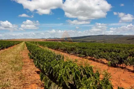 Fazenda/Sítio com 11 Quartos à venda, 29290000m² no Zona Rural, 