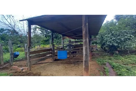 Fazenda/Sítio com 2 Quartos à venda, 30000m² no Área Rural de Brazlândia, Brasília