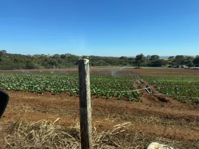 Fazenda/Sítio com 3 Quartos à venda, 532400m² no , Goianápolis